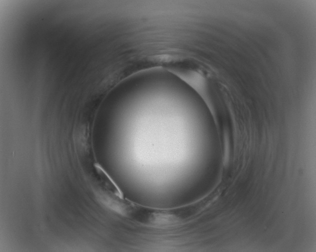 X0000083050605200702091440