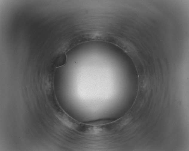 X0000083050607200702091440