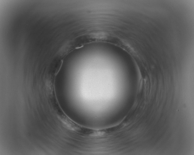 X0000083050609200702091440