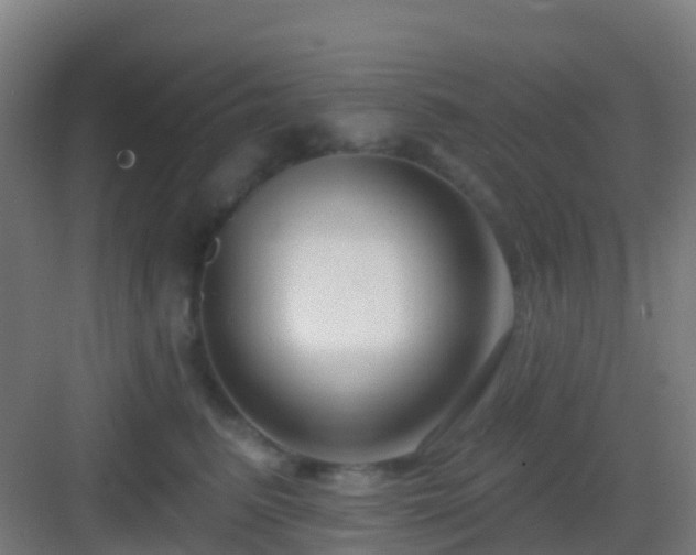 X0000083050615200702091440