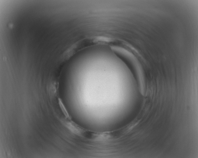 X0000083050621200702091440