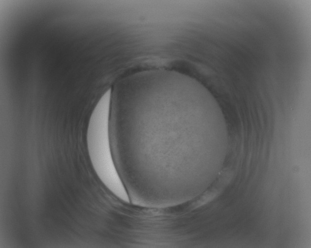 X0000083050624200702091439