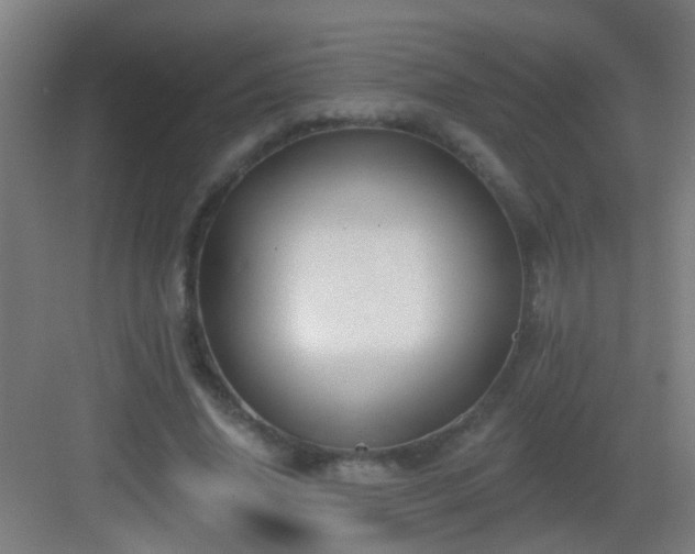 X0000083050636200702091439