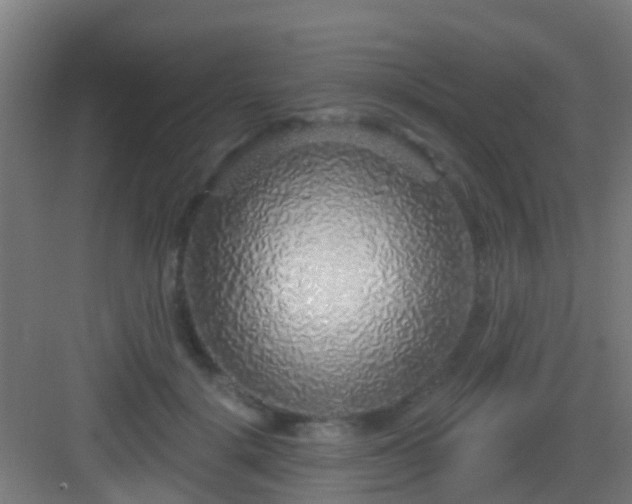 X0000083050652200702091439