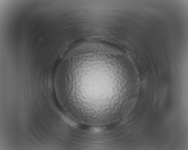 X0000083050662200702091439