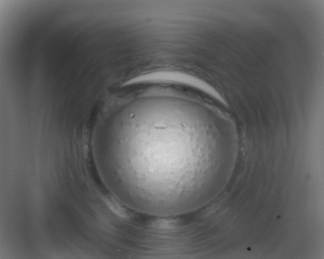 X0000083050664200702091439