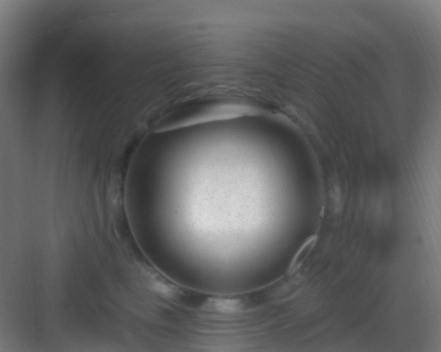 X0000083050665200702091439