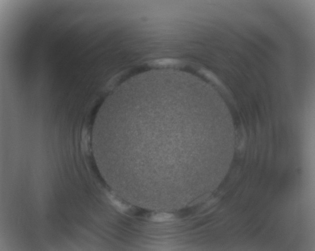 X0000083050669200702091439