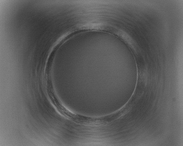 X0000083050674200702091439
