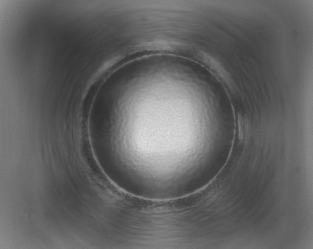 X0000083050675200702091439