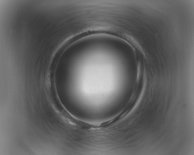 X0000083050676200702091439