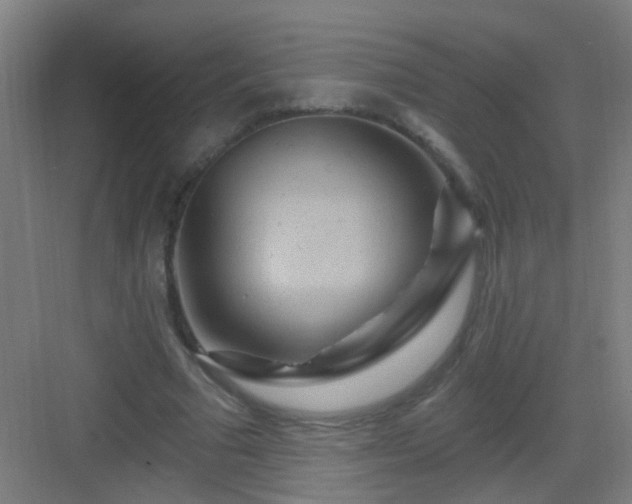 X0000083050681200702091439