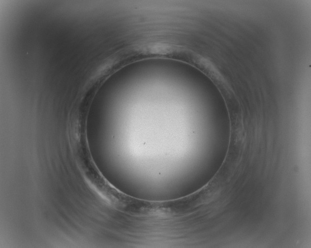 X0000083050683200702091438