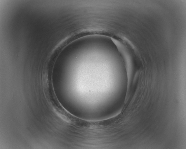 X0000083050684200702091438