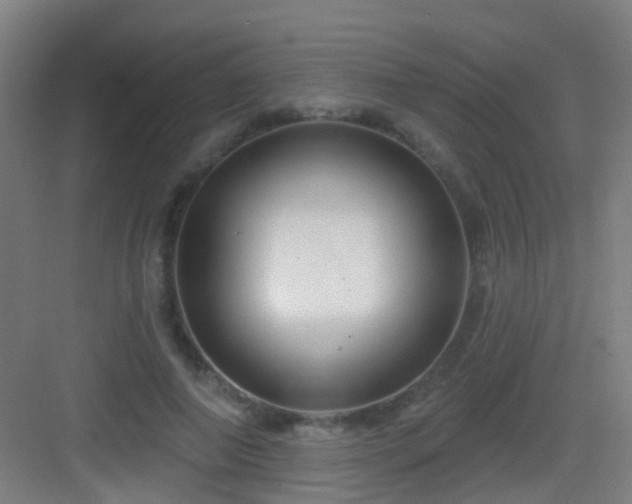 X0000083050690200702091438