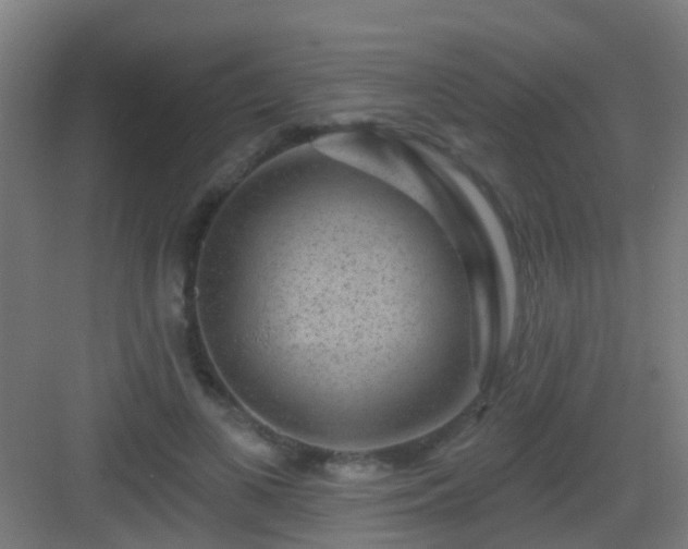 X0000083050693200702091438