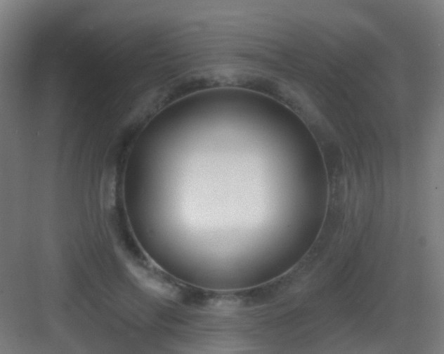 X0000083050694200702091438
