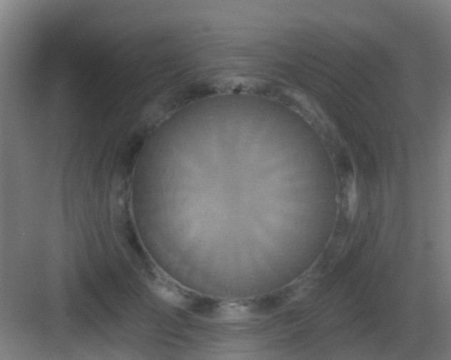 X0000083050701200702091438