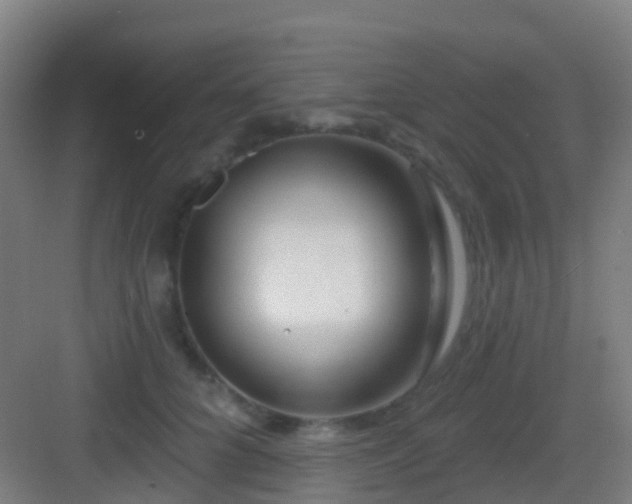 X0000083050704200702091438
