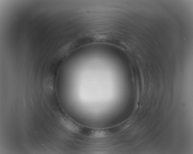 X0000083050710200702091438