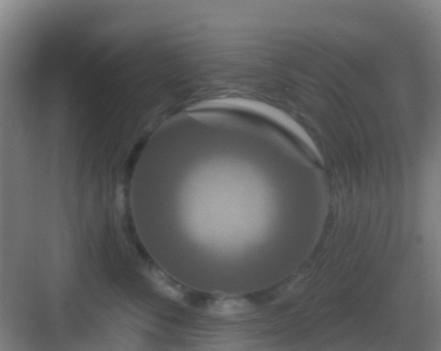 X0000083050716200702091438