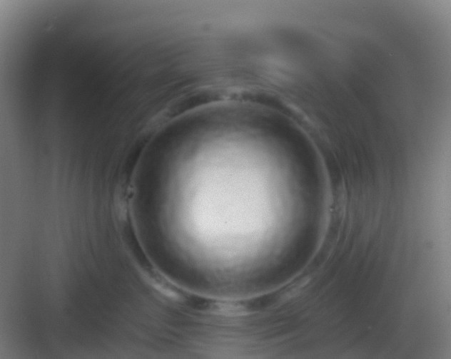 X0000083050719200702091438