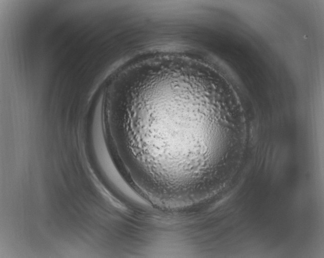 X0000083050725200702091437