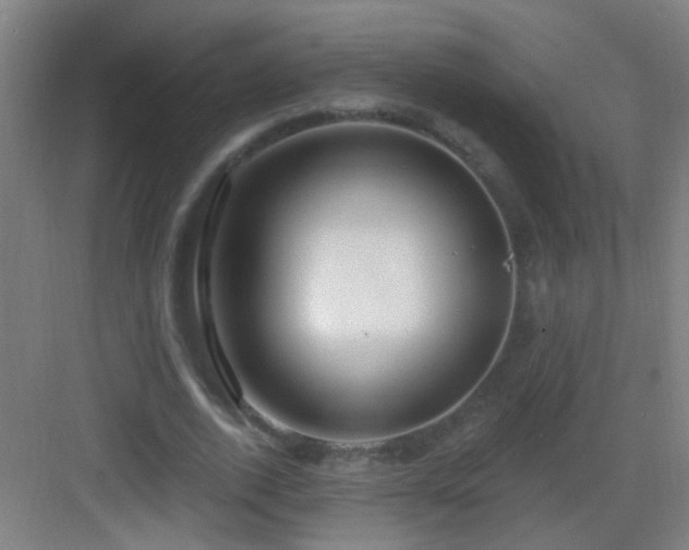 X0000083050728200702091437