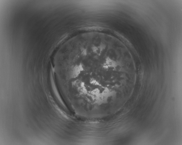 X0000083050729200702091437