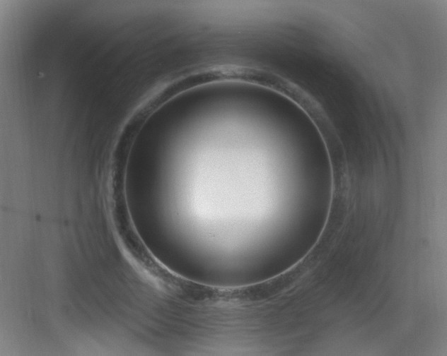 X0000083050730200702091437