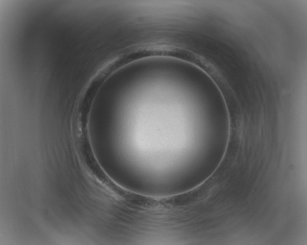X0000083050731200702091437