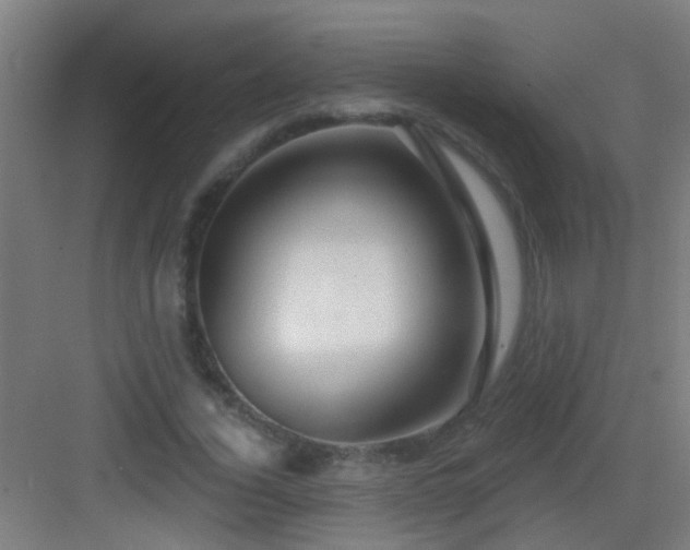 X0000083050732200702091437
