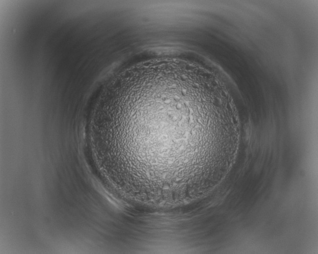 X0000083050733200702091437
