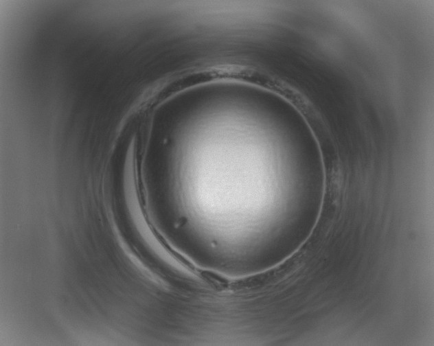 X0000083050734200702091437