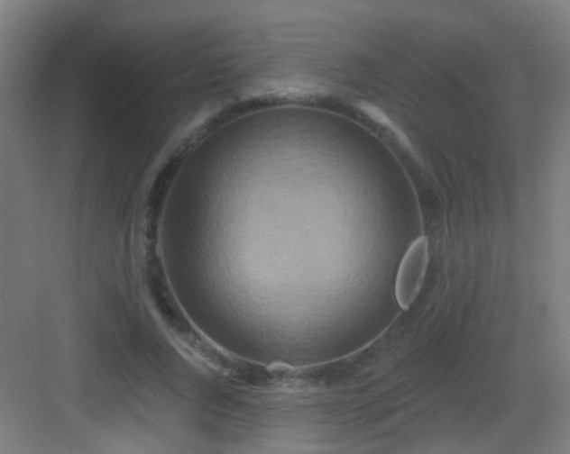 X0000083050736200702091437