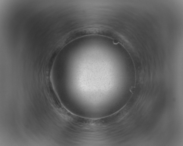 X0000083050737200702091437