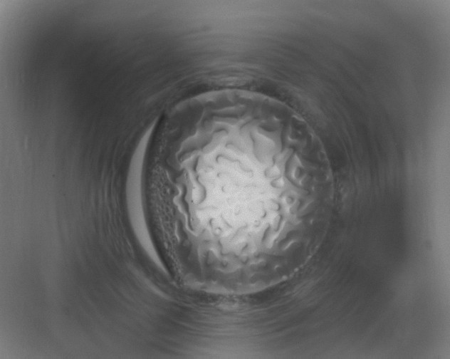 X0000083050745200702091437
