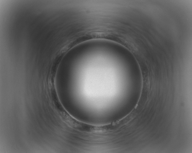 X0000083050746200702091437