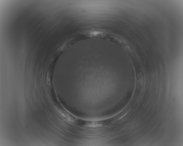 X0000083050754200702091438