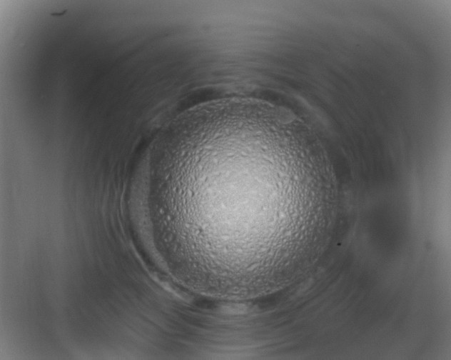 X0000083050757200702091438