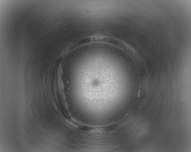 X0000083050761200702091438