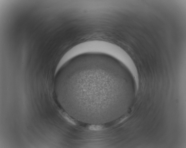 X0000083050762200702091438