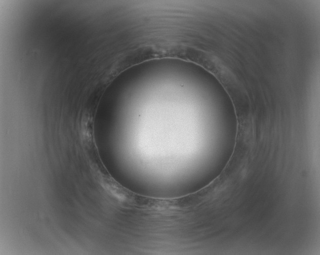 X0000083050770200702091437
