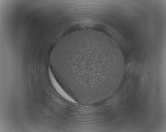 X0000083050772200702091437