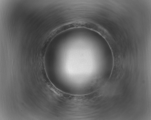 X0000083050773200702091437
