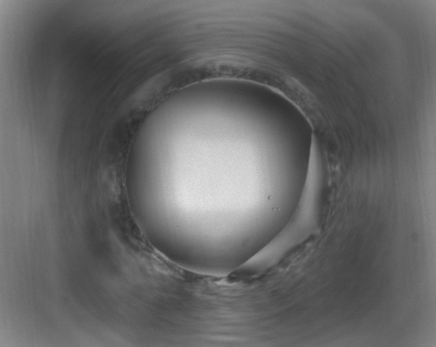 X0000083050774200702091437