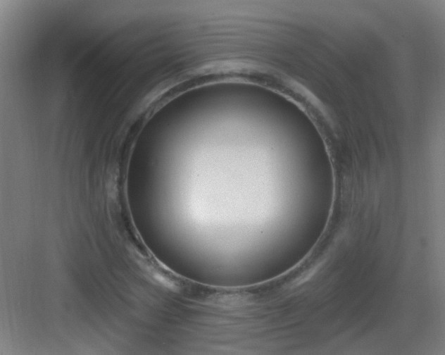 X0000083050778200702091437