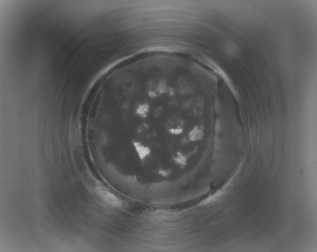 X0000083050779200702091437