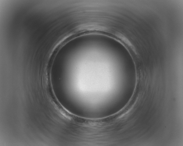 X0000083050782200702091437