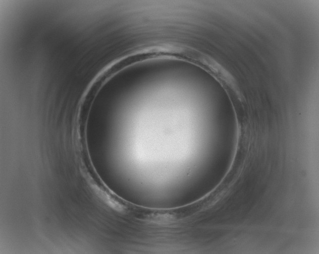 X0000083050784200702091437